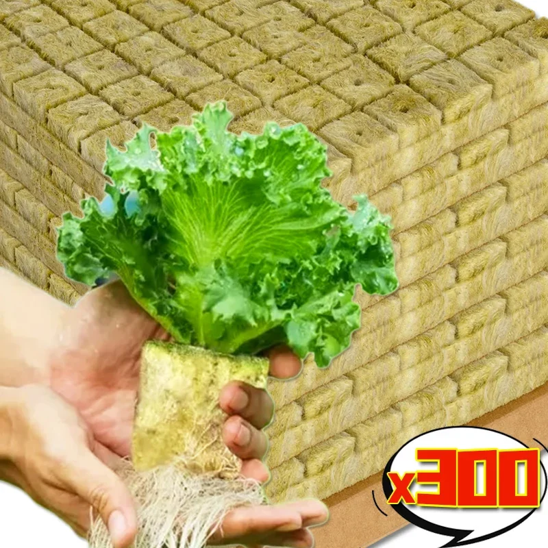 50/300PCS Stonewool Hydroponic Grow Media Cube Garden Seedling Planting Sponge Block Water Cultivation Seed Sowing Culture Block