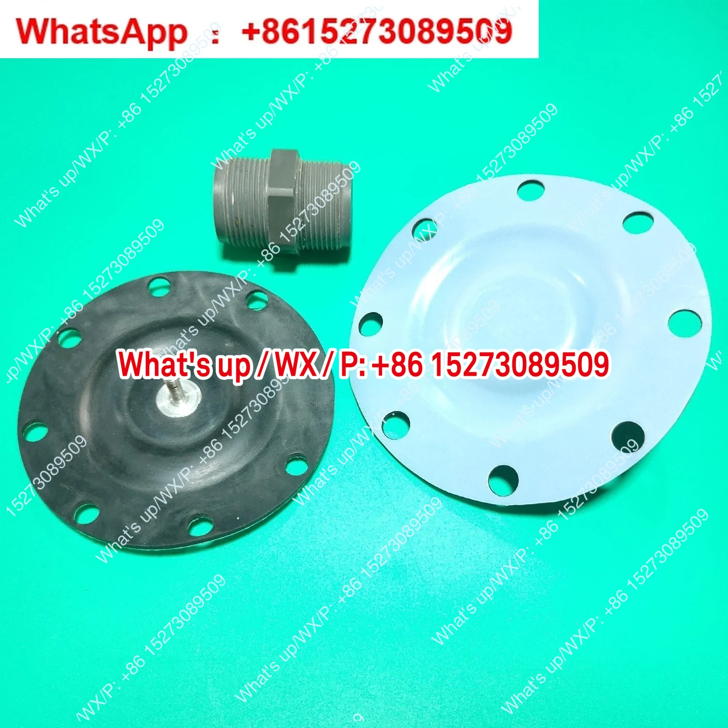 diaphragm metering pump diaphragm diameter 153/133 Import and export check valve DMX226