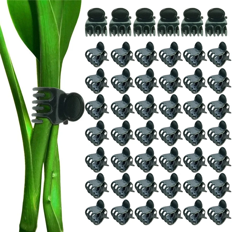 20-100PCS Garden Plastic Orchid Stem Clips Plant Vine Clamp Grafting Clip Tied Butterfly Tomato Bundle Branch Accessories Tools