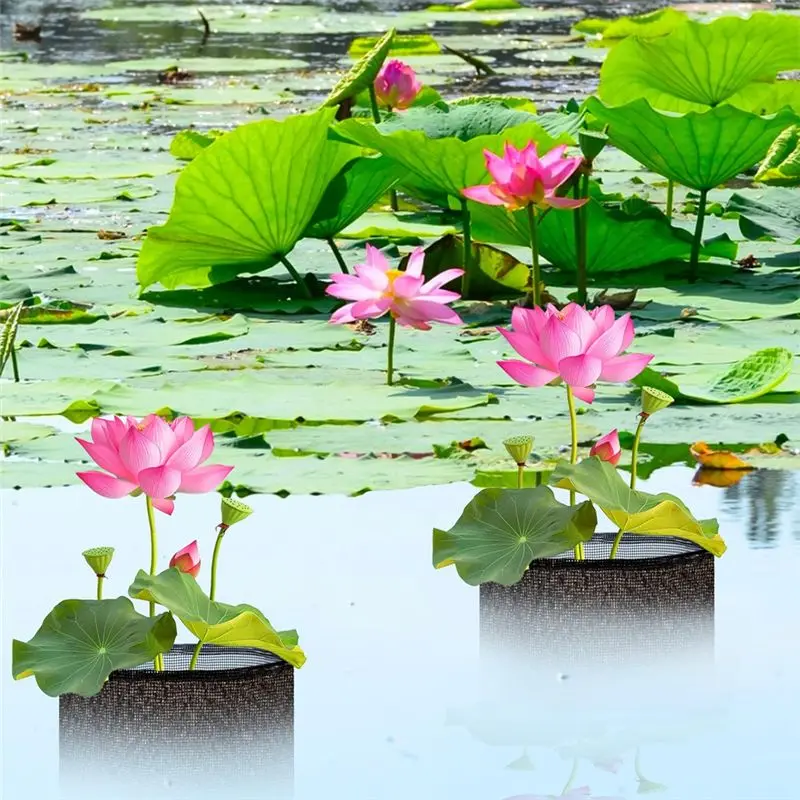 NEW HOT In Stock-4 Pcs Breathable And Reusable Aquatic Planting Mesh Bags, Square Lily Pots For Water Gardens
