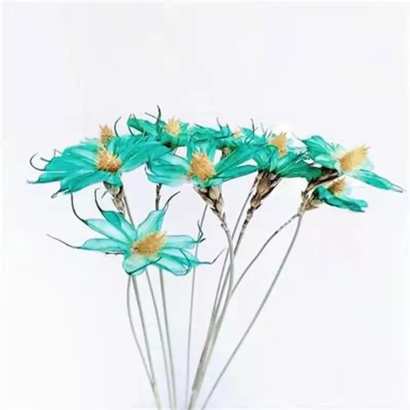 

10Pcs Dried Flower Small Kohama Chrysanthemum Daisy For Decorative Flowers Literary Fresh Bouquet For Home Decoration