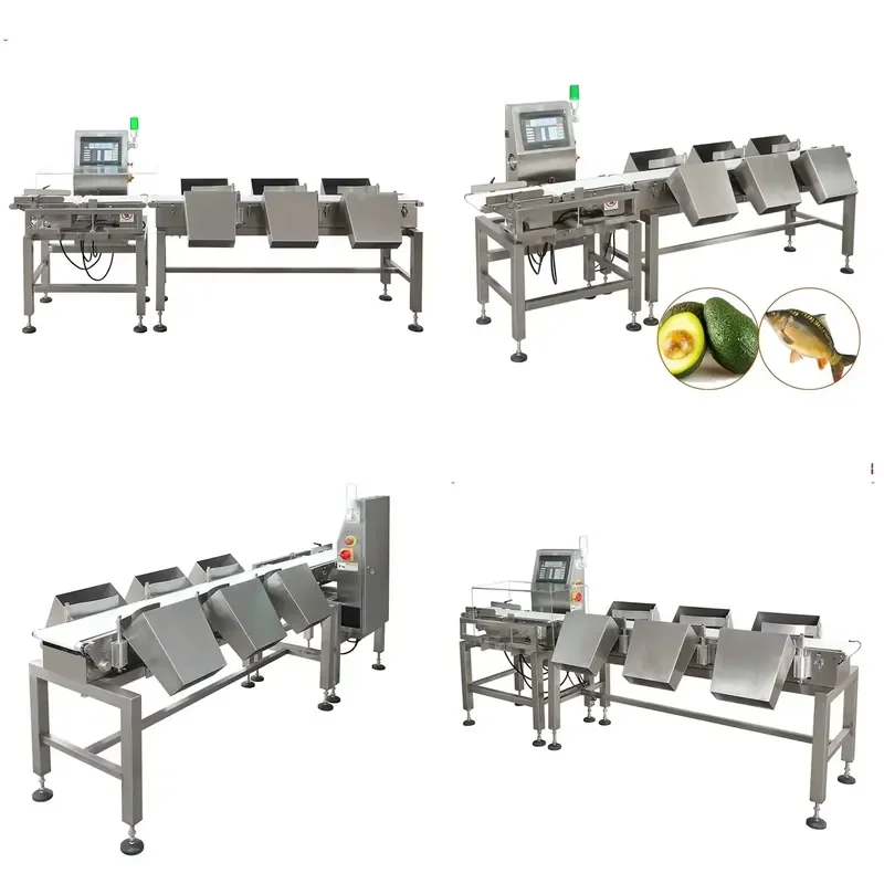 High Precision Conveyor Digital Weighing Scales for Food Snack Confectionery Baked Goods Nuts and Bottled Beverage Packaging