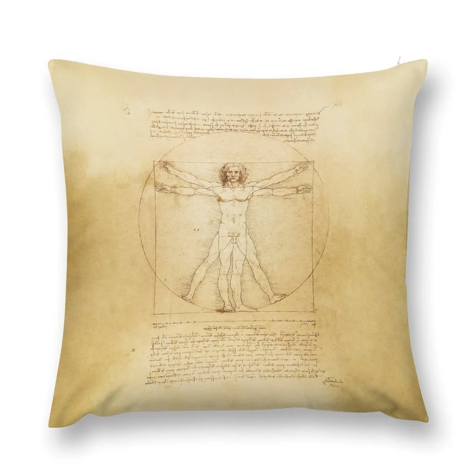 Leonardo da Vinci Vintage sketch The Vitruvian Man The proportions of the perfect human man body HD HIGH QUALITY ON Throw Pillow