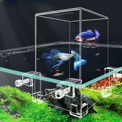 Creative Aquarium Tanks Negative Pressure Fish Tank Ecological Aquascape Decoration Small Fish Pot Isolation Aquatic Fish Bowl