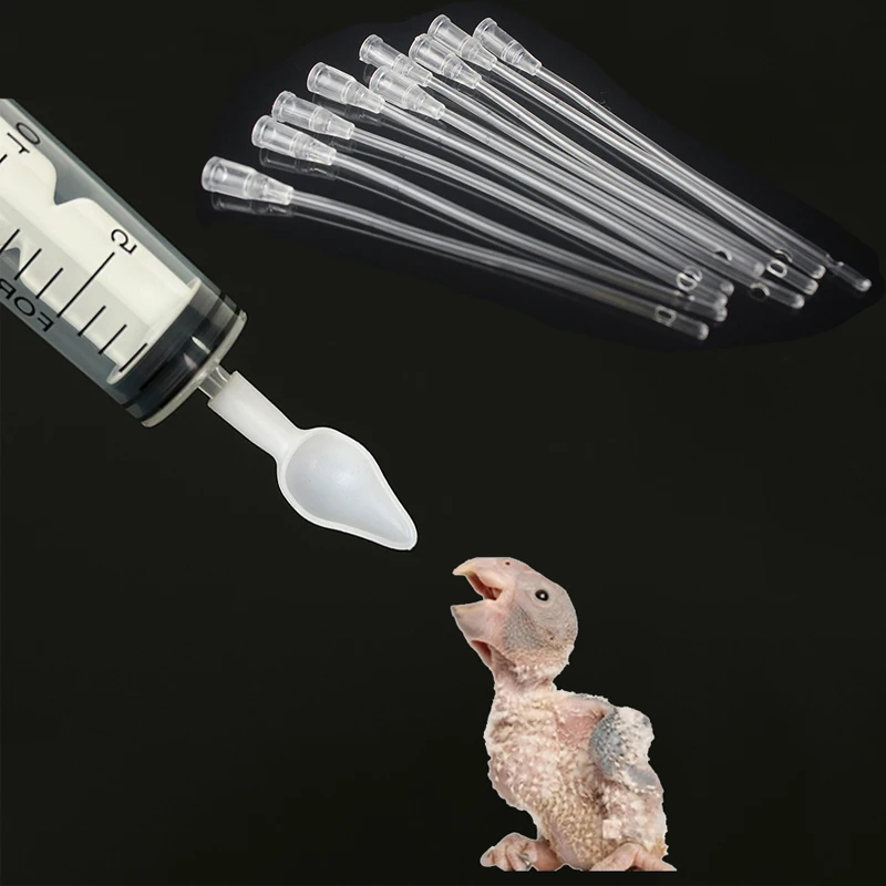 Bird Parrot Feeder Spoon, Baby Bird Milk Medicine Feeding Syringe with Soft Feeding Tubes, Baby Bird Feeding Tools Kit