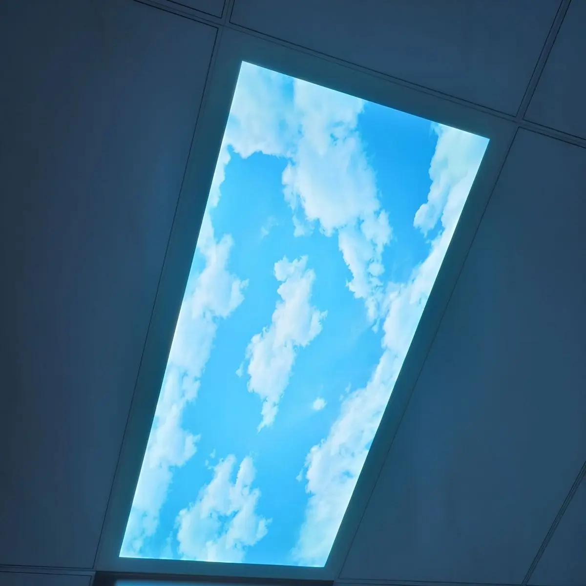 LED Flat Panel Ceiling Light Kitchen Bathroom Dining Room Living Room Aluminum Custom Blue Sky Cloud Pattern Home Decor