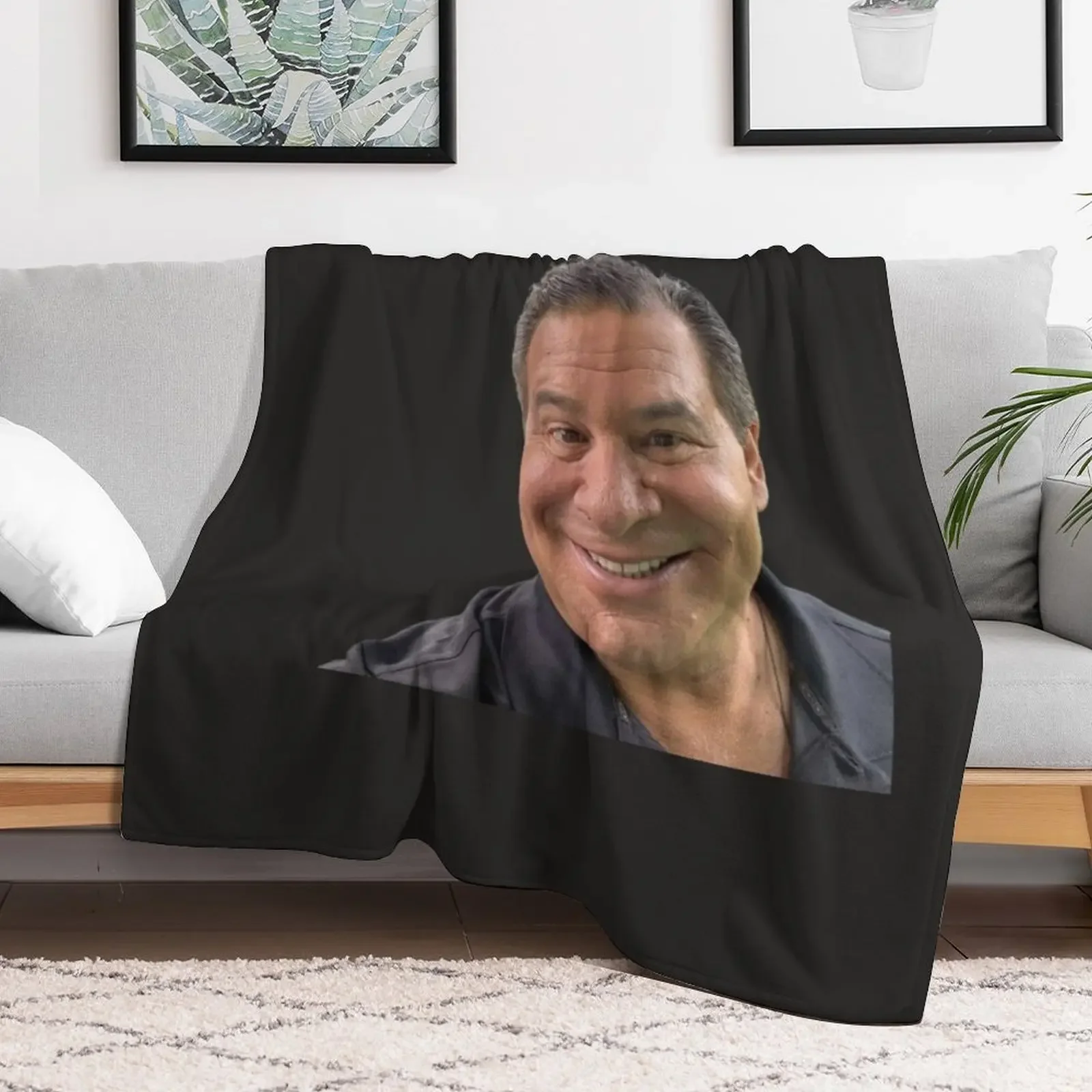 phil swift funny Throw Blanket christmas gifts Weighted Decorative Sofa Blankets