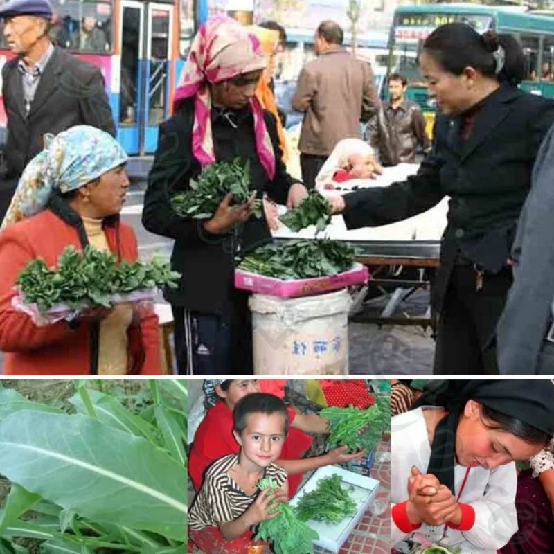 น้ำหญ้าอุสมาน บำรุงคิ้ว เครา ผม กระตุ้นการเจริญเติบโตของรูขุมขน ผมดำ หนา บำรุงรากผมและหนังศีรษะ