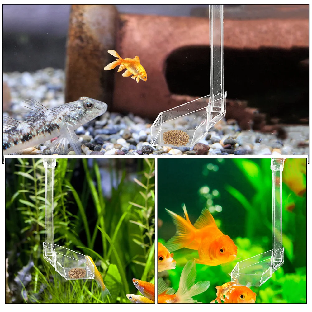 

Aquarium Fish Shrimp Feeder Transparent Acrylic Tube Sinking Food Container Sturdy Material Not Easy Deform Break