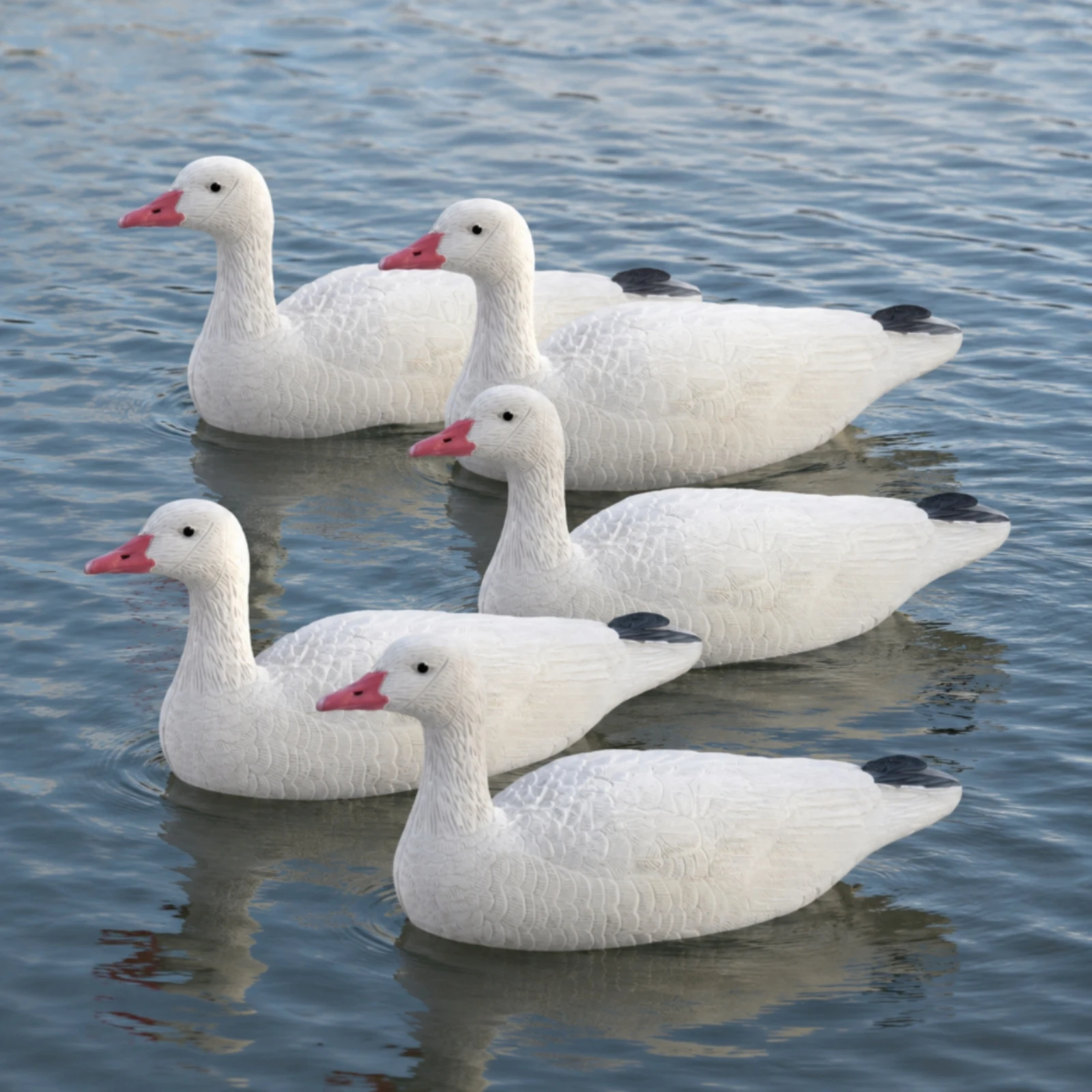: Waterfowl Hunting Decoy