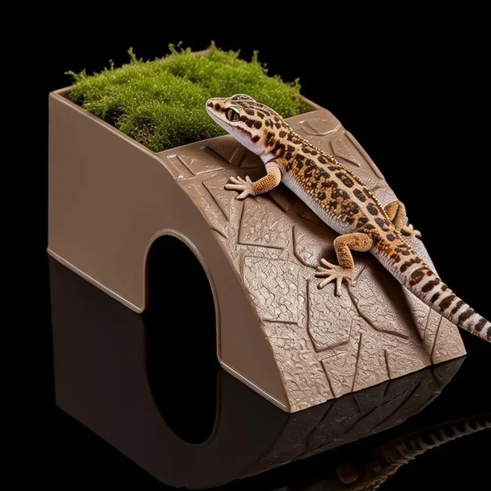Plastic Reptile Hideout Cave Anti Drowning With Moss Tray Reptile Feeding Box Climbing Platform Smooth Surface Water Dispenser