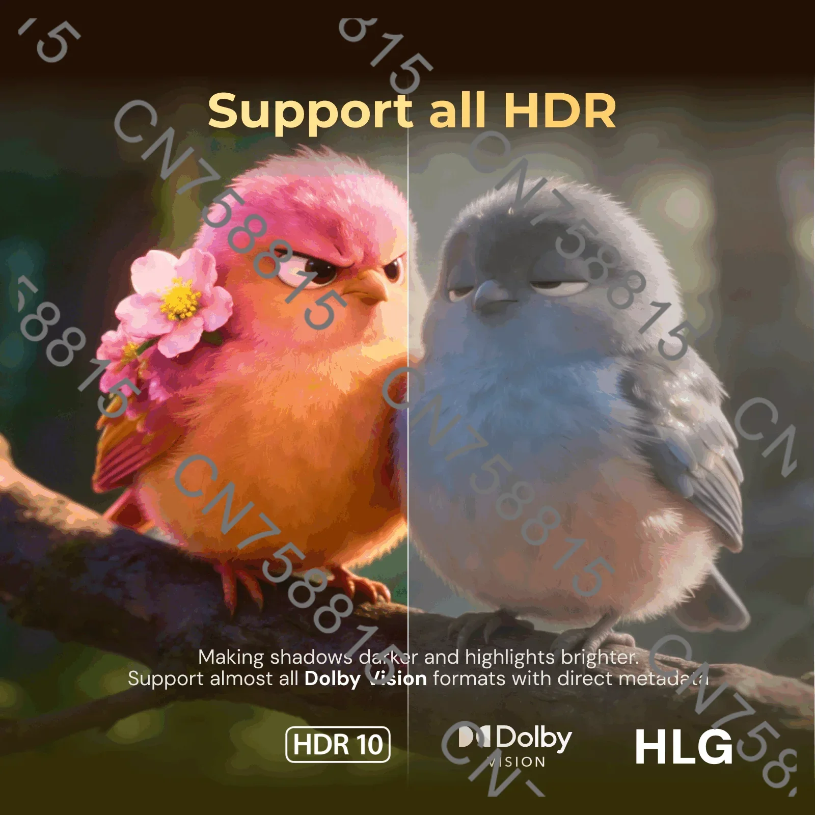 Processor 6G+64G,8K Android 11os, Support DV,HDR10+ and All HDR Technoly,BDMV/，zidoo Z3000 PRO-8K Media Player, Amlogic S928X-K