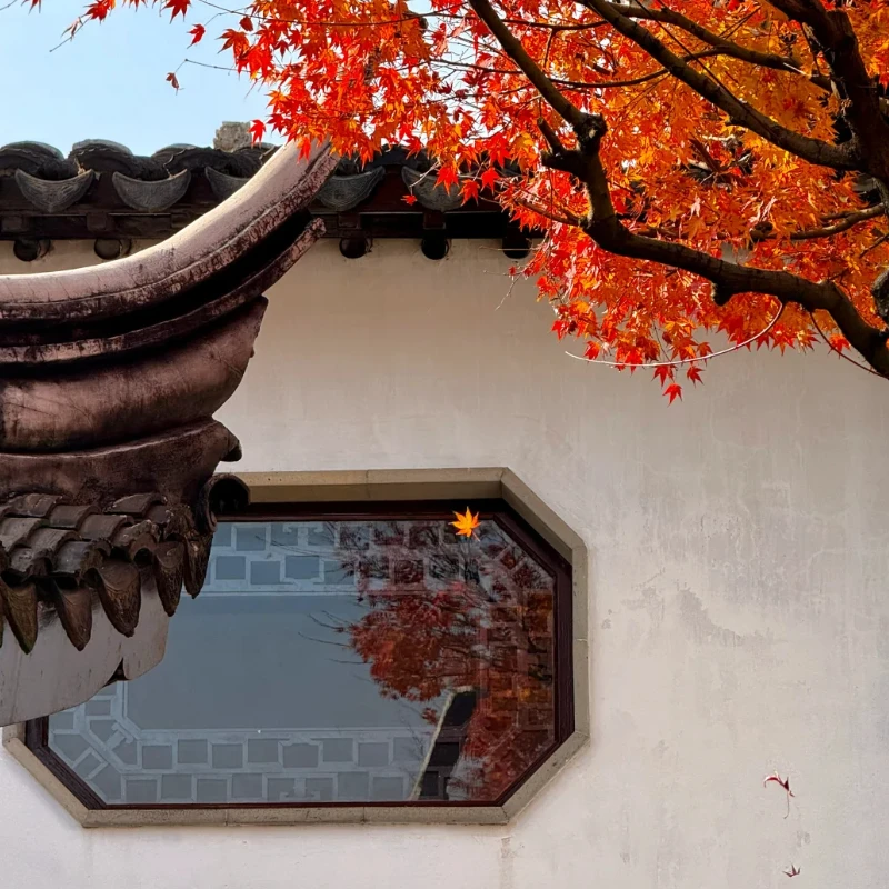 

GEPRC TAKER F405 BLS 50A Stack — 42688-P Gyro, 16 МБ, черная коробка, запись данных Plug & Play для моделей FPV Racing RC