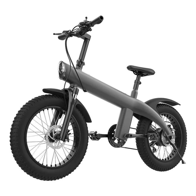 

Electric bicycle 20 inch mountain beach battery car electric power