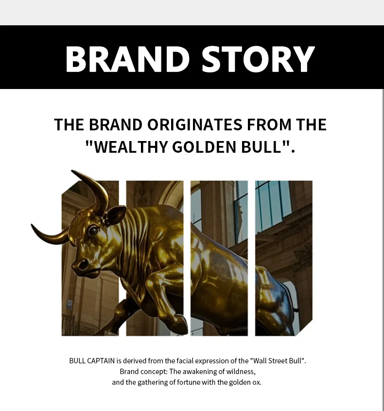 Bull captain neue Männer Tasche Echt leder Mann Marke Umhängetasche kleine Business-Taschen männliche Messenger Ledertaschen – Detail 14