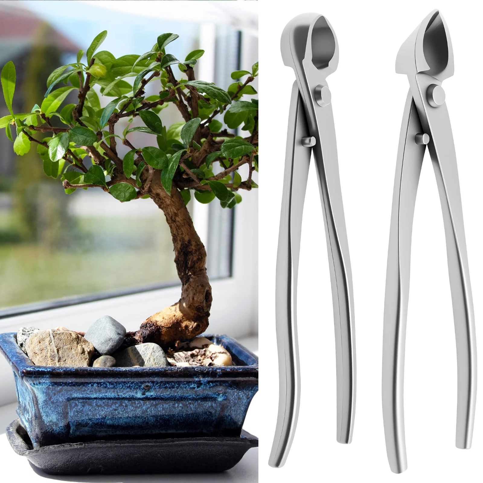 Kit de Cuidado de Bonsáis de A - Bonsai Garden Timings reseña y precio