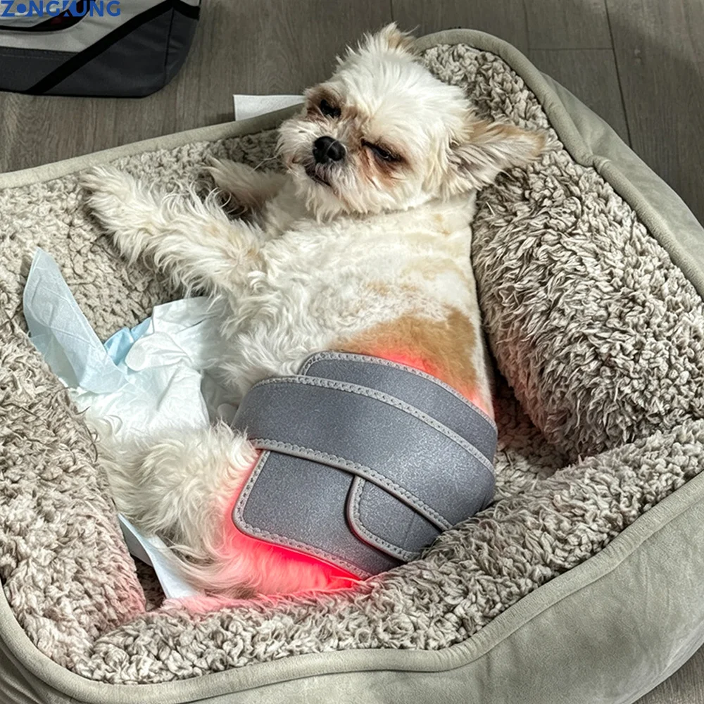 Veterinary Use Red Light LED Therapy Pets Care Home Use Infrared Red Light Therapy Belt Wrap for Dogs Cats