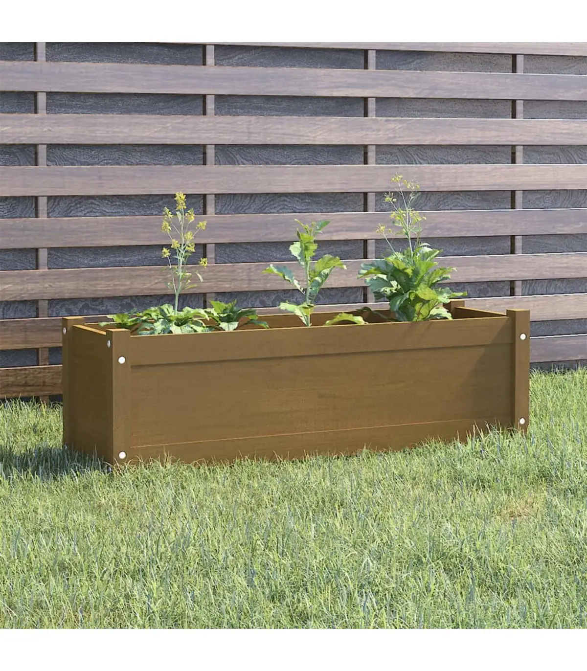 100x31x31 cm Brown pine planter and planter planter planter planter planter