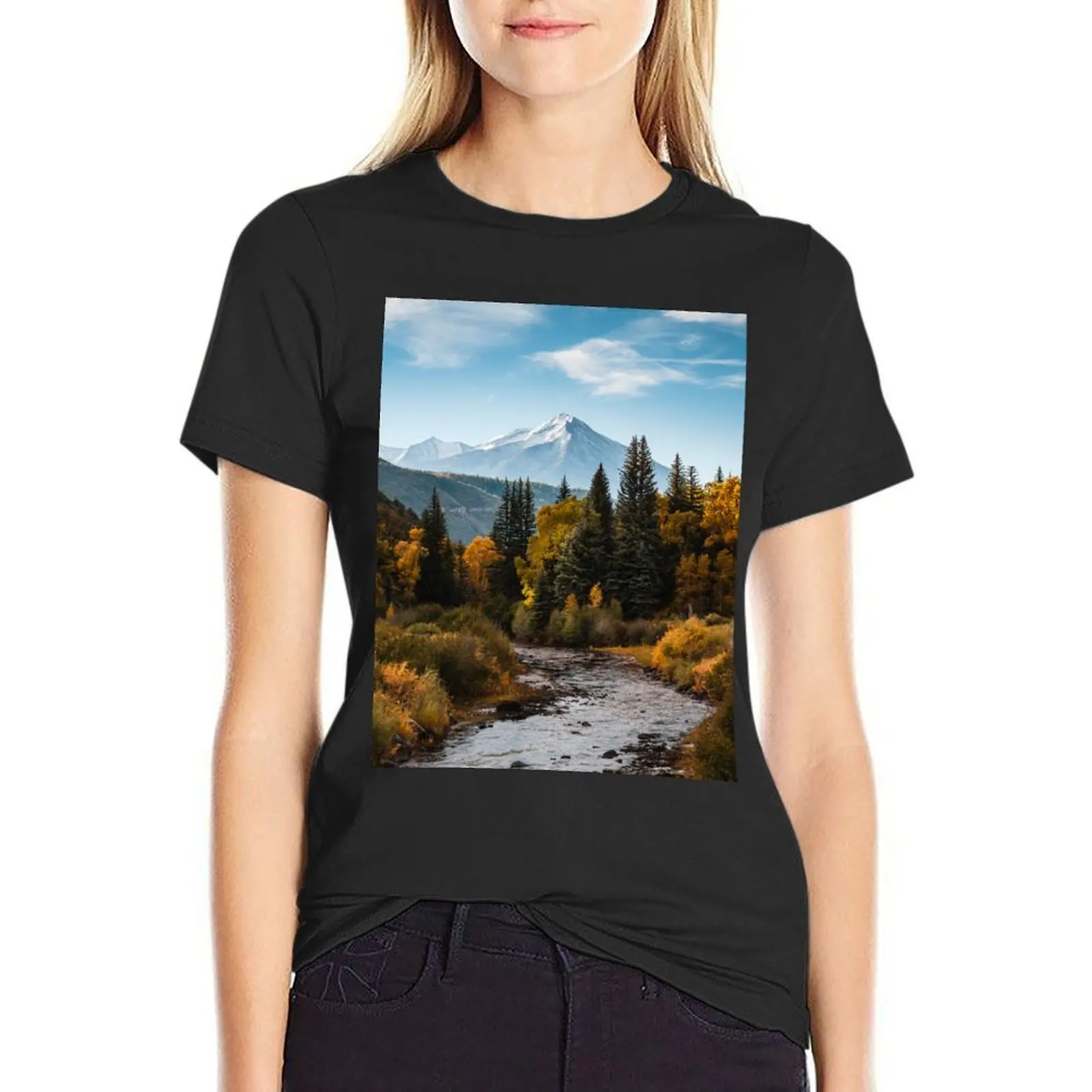 Chair Mountain T-Shirt vintage clothes summer clothes t-shirts for Women graphic tees funny