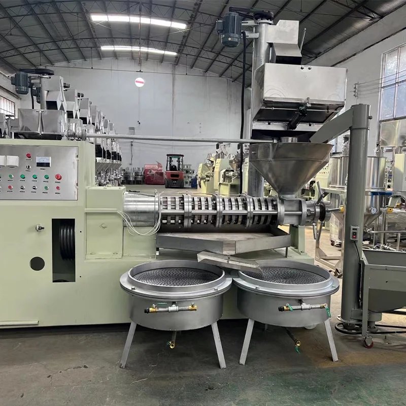 Automatic Cold Oil Expeller Multi Seeds Nuts Extractor Vacuum Filter Nutrition Retention Commercial OEM Customized