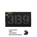 Luminous patch 13