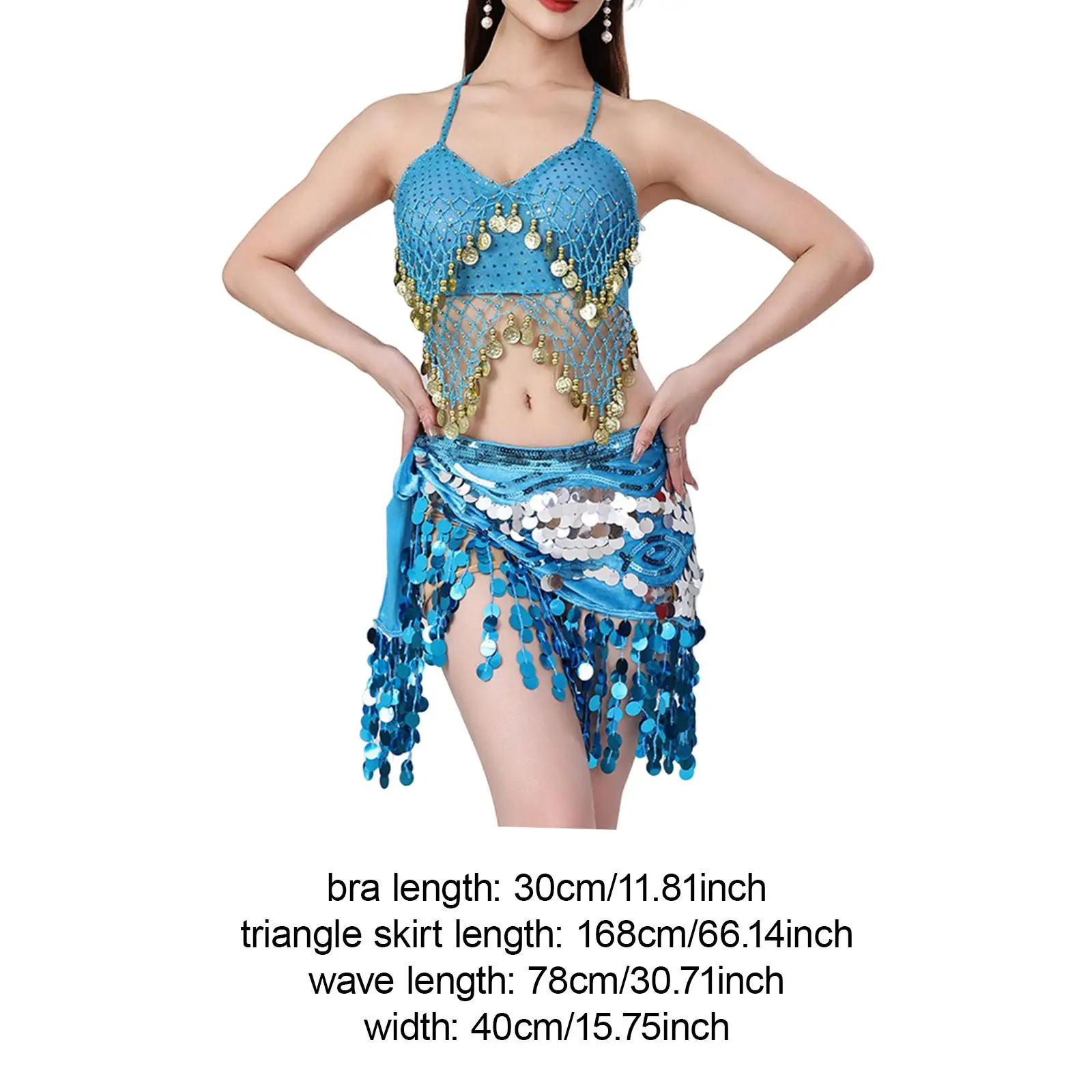 Belly Dancer Outfit Belly Dancing Skirt Wrap for Music Party