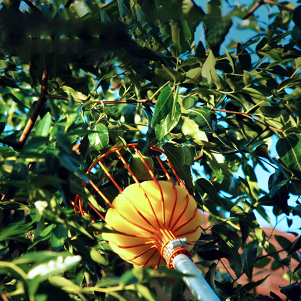 

2pcs Fruit Picker Tools Durable Iron Gardening Baskets Harvesters Easy Use Labor Saving Practical Fruit Catcher Tools Gardening