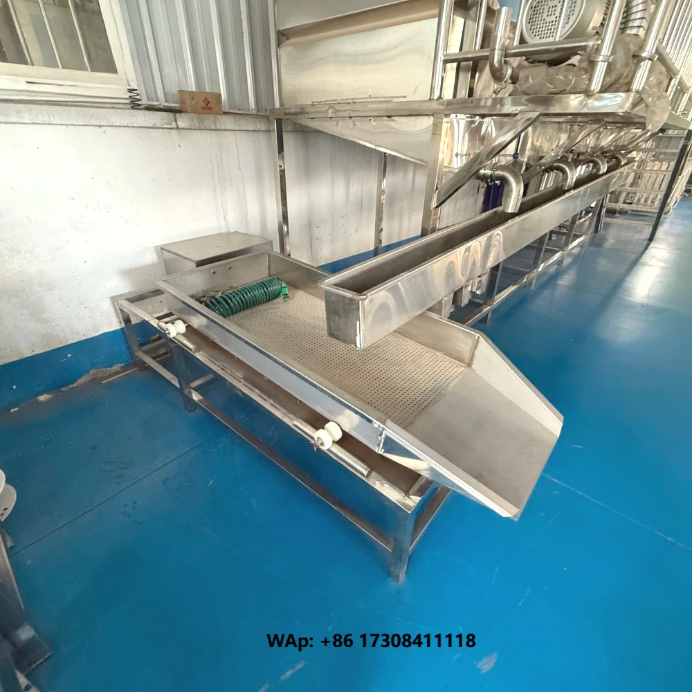Small Electric Linear Screening Machines Stainless Steel Vibrating Screen for Soybean Bean Processing Rice Broken Rice Screening