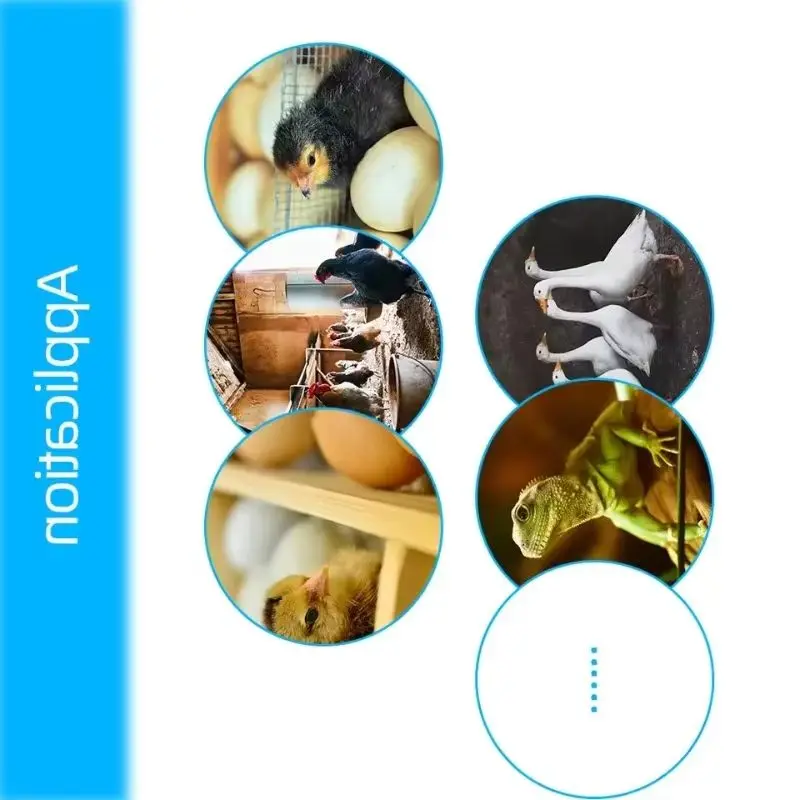 AAAAAAAAAAAAAAAXM-1…