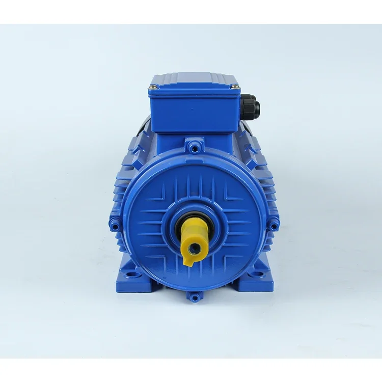 11kw 18kw 18.5kw 22kw 30kw 100kw 130kw 132kw 160kw 200kw 250kw 380v Ye2 Three Phase Ac Electric Motor Induction