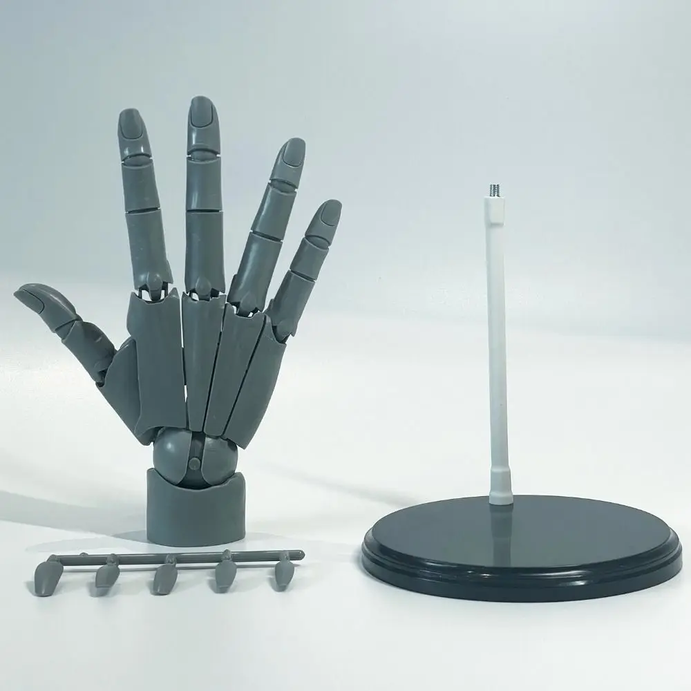 Left/Right Articulated Hand Model Flexible Poseable Hand Finger Joint Figurine Hand Finger Joint Figurine Adjustable