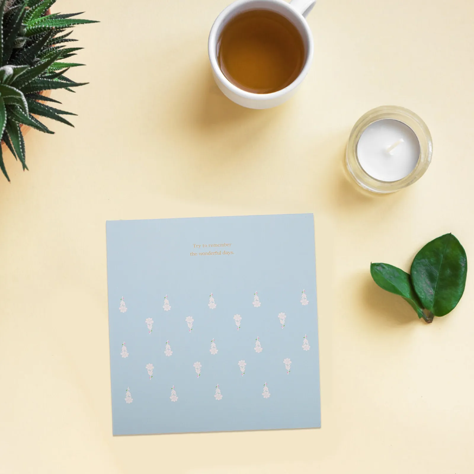 Flower Preservation Book Dried Dry Leaf Storage Album Birthday Card Organizer Botanical Collection Press Diy Specimen