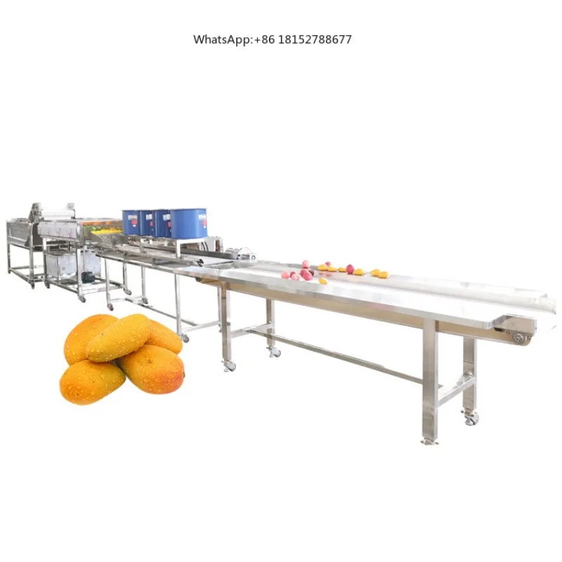 Industrial Fruit Processing Line -controlled Orange Sweet Potato Washing Grading Sorting Machine Engine