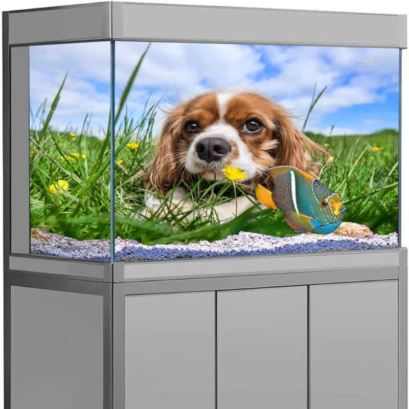 

3D Effect Dog Aquarium Vinyl Sticker Background Poster HD Rock Stone Self Adhesive Fish Tank Wallpaper 3d Background