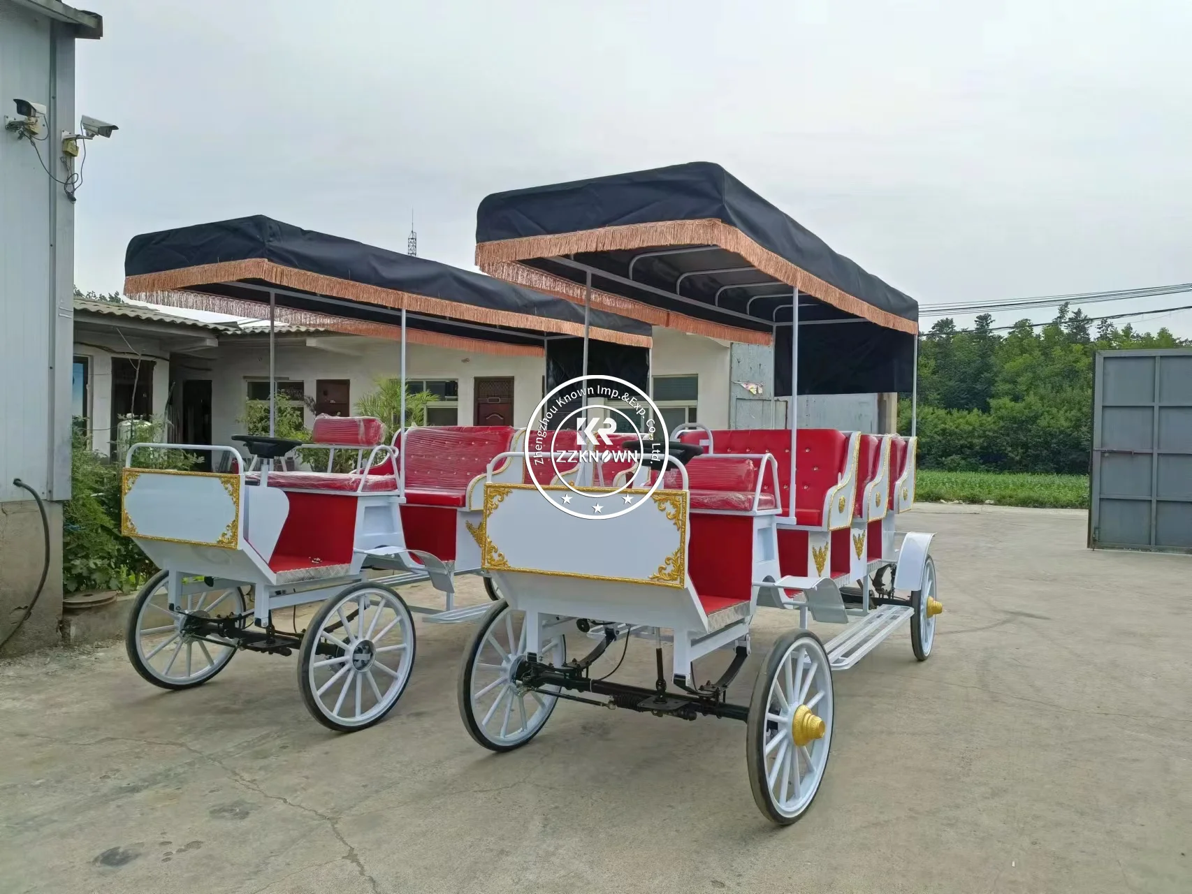 9-seater Electric Special Transport Vehicle Noble Electric Tourist Carriage for sale Park Sightseeing Carriage