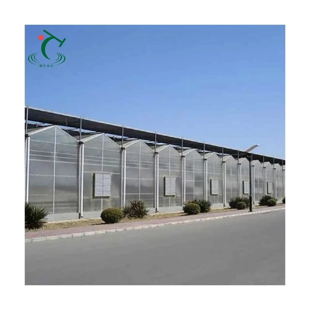 

Customized greenhouse2025 Versatile Polycarbonate Greenhouse for Efficient Farming and Production Agricultural Large PC Greenhou