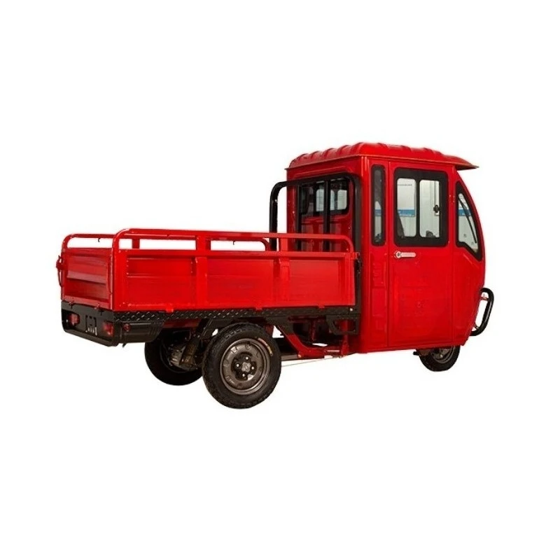 Adults Electric Tricycle  60V 1000W Electric Tricycle with Enclosed Cabin for Cargo xyl