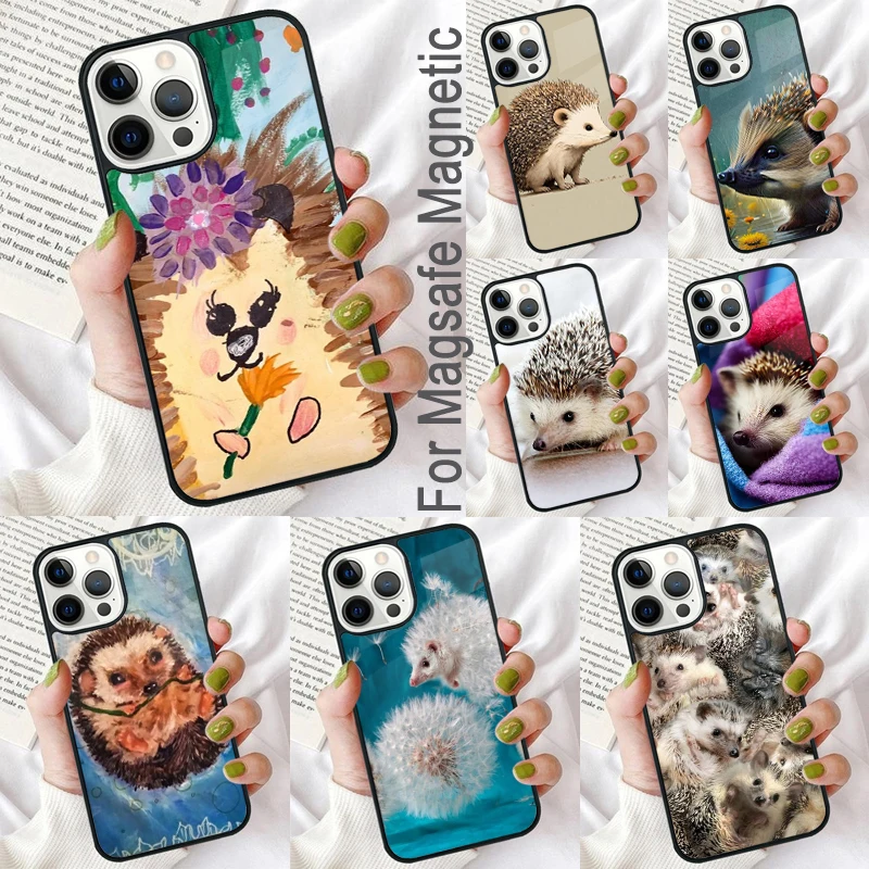 Cute Little Hedgehog Magnetic Soft Phone Case for iPhone 16 Promax 15 Pro 13 14 Plus 11 12 Mini MagSafe Coque