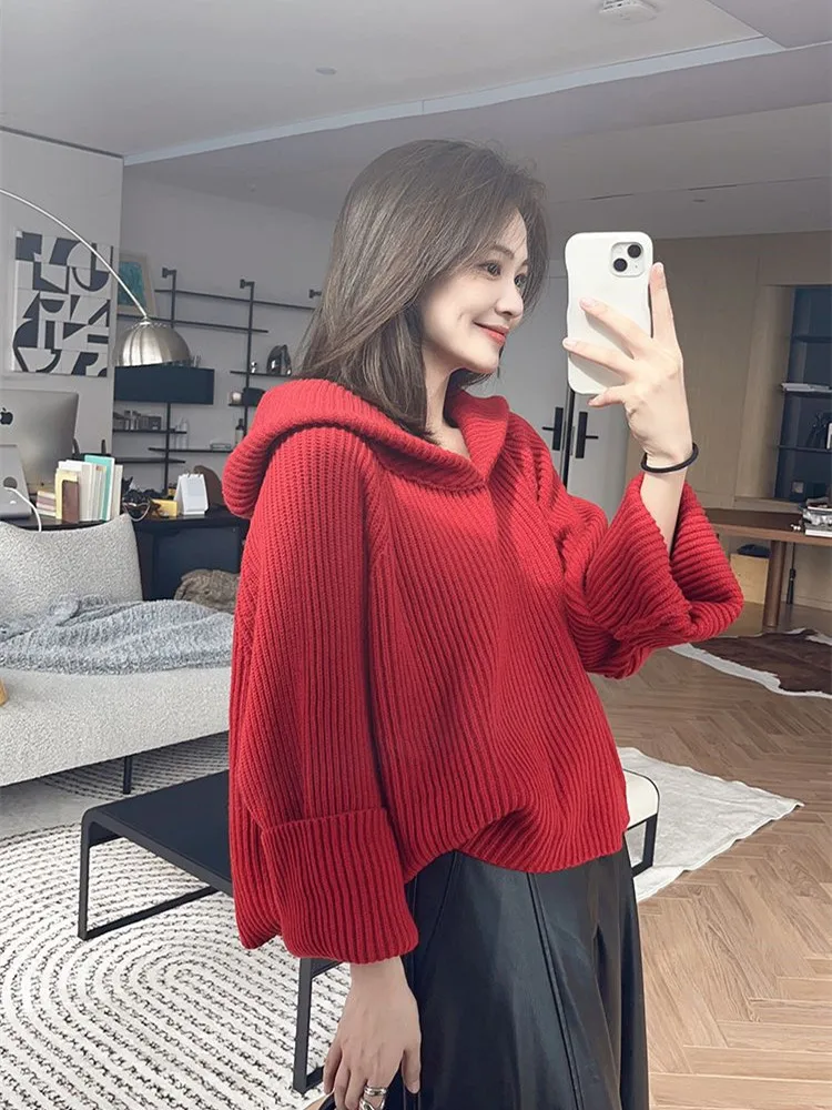 Korean style Long Sleeve Sweater Autumn Winter New Hooede Womens Clothing Pullover Tops Warm Fashion Women Knitwears