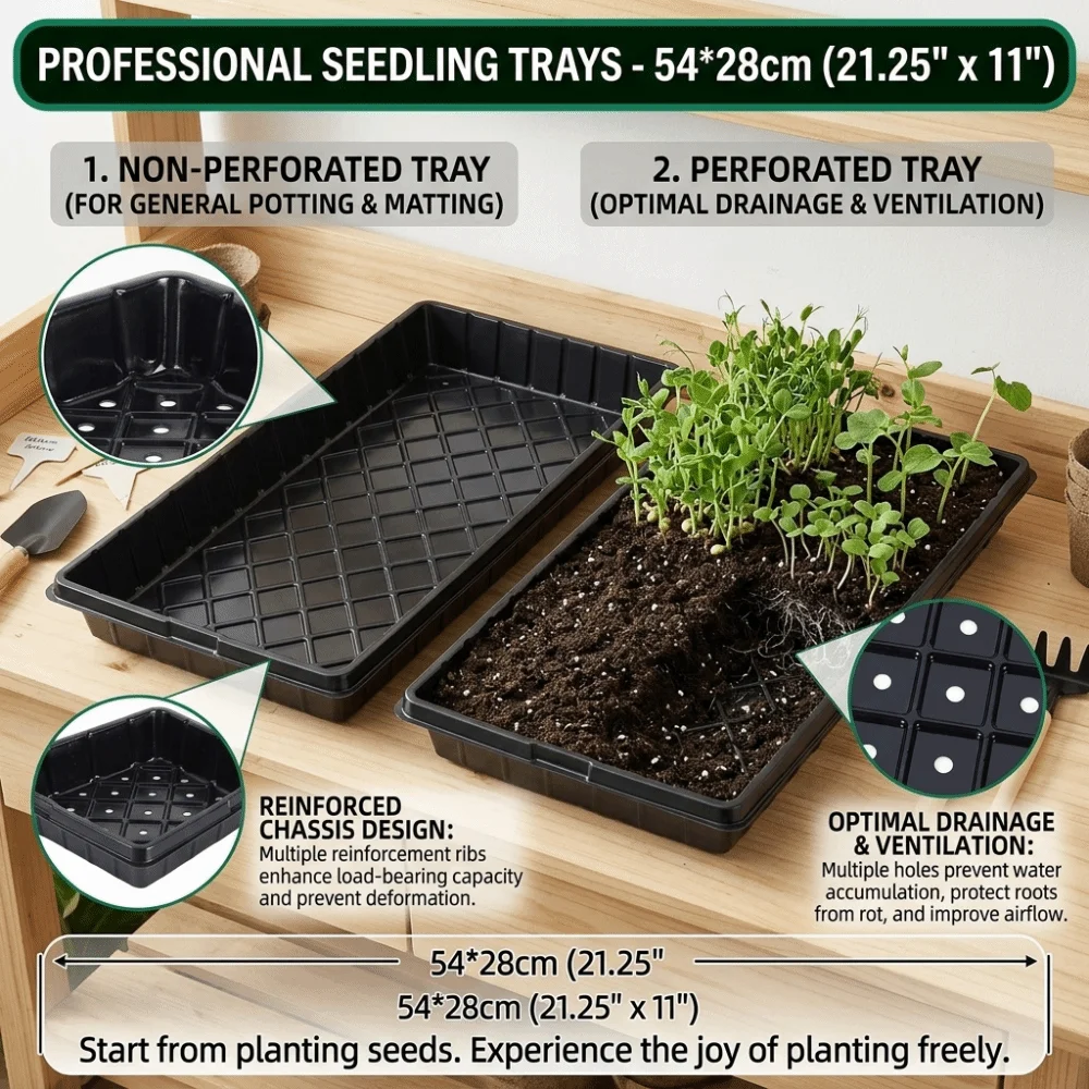 2pcs 54*28cm Seeding Nursery Tray with Holes Succulent Growing Plate Flower Plant Seed Starting Germination Tray Greenhouse