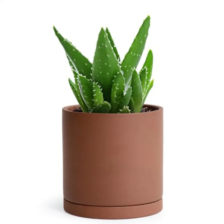 

5 Inch Rust Terracotta Plant Pot with Drainage Hole and Saucer Round Cylinder Planter Pot for Indoor Plants 40VB3