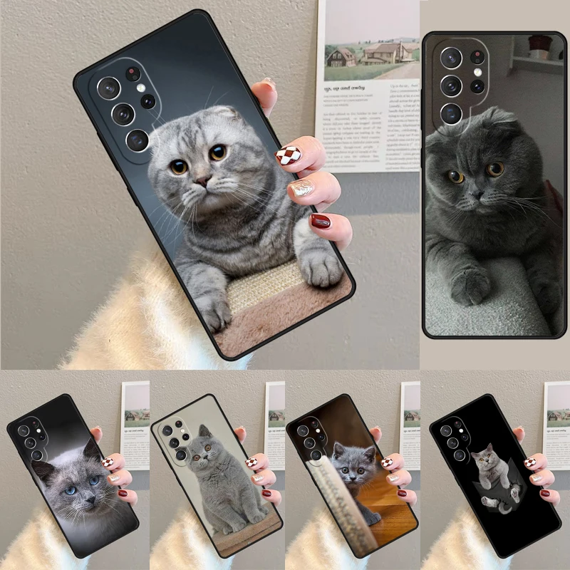 

Чехол для Samsung Galaxy S24 S25 Ultra S21 S22 Note 10 20 lite Plus FE S23 Чехол для телефона с британским короткошерстным котом Coque