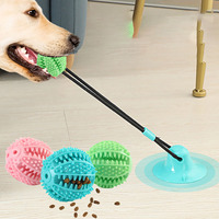 Chewing Pet Toys With Sound, Pet Dogs Grinding Their Teeth And Practicing Tug Of War With Suction Cups