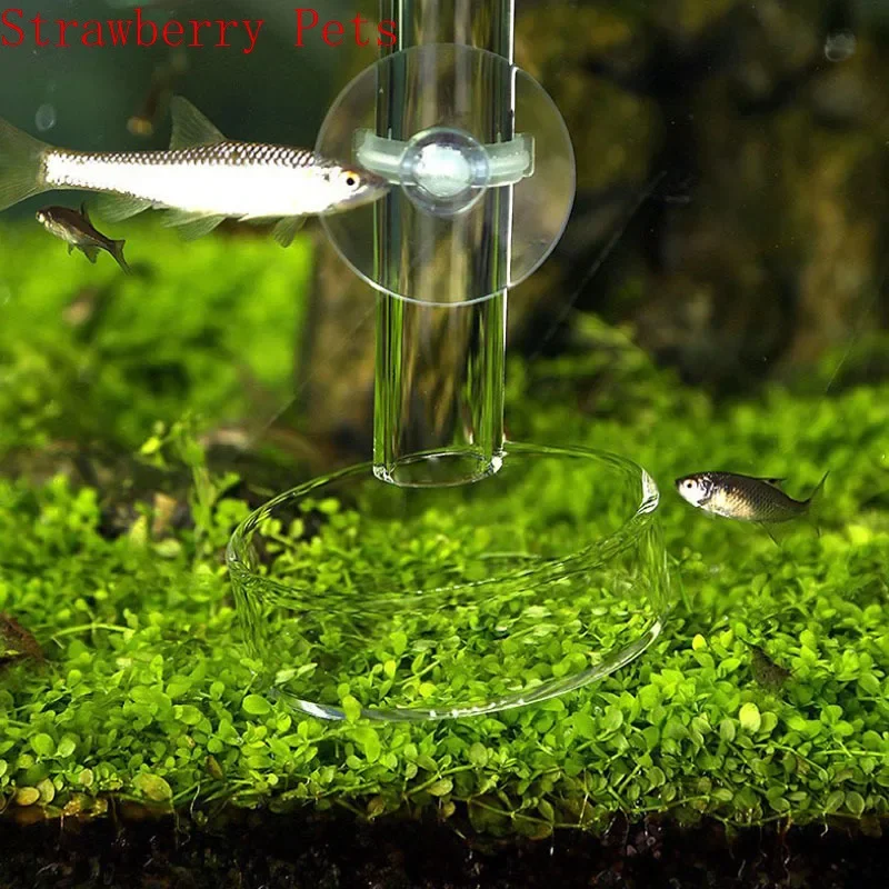 Transparent Aquarium Fish Tank Shrimp Food Feeding Circle Glass Feeder Floating Bottom Feeder Fish Shrimp