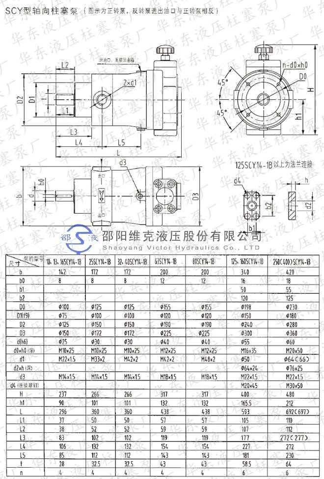 Pompe à piston hydraulique, 10YCYoccupation 1B 25Y 32 40Y 63Y 80Y 160YCYoccupation 1BF