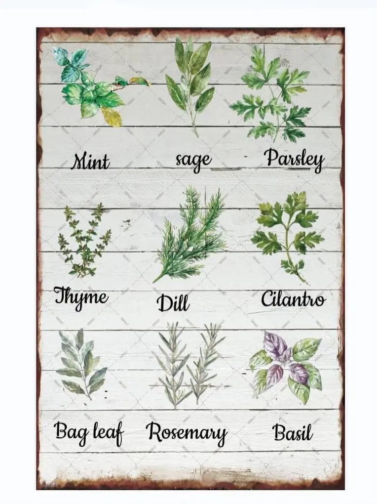 Plaque Métallique Décorative Rétro aux Herbes (Sauge, Menthe Verte) – Art Mural Médicinal, Affiche Vintage pour Pub et Jardin