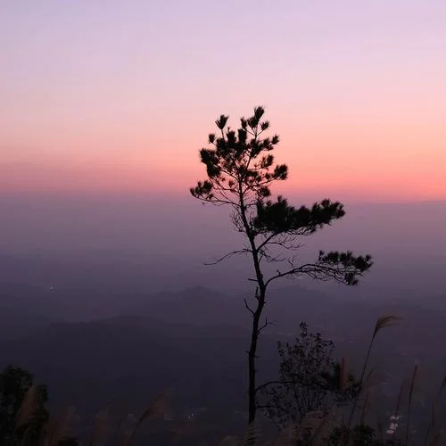 

Автомобильный радиоприемник с RHD-экраном Android 13 для BMW 7 серии F01 F02 NBT CIC, мультимедийный видеоплеер, новая автомобильная умная система BT