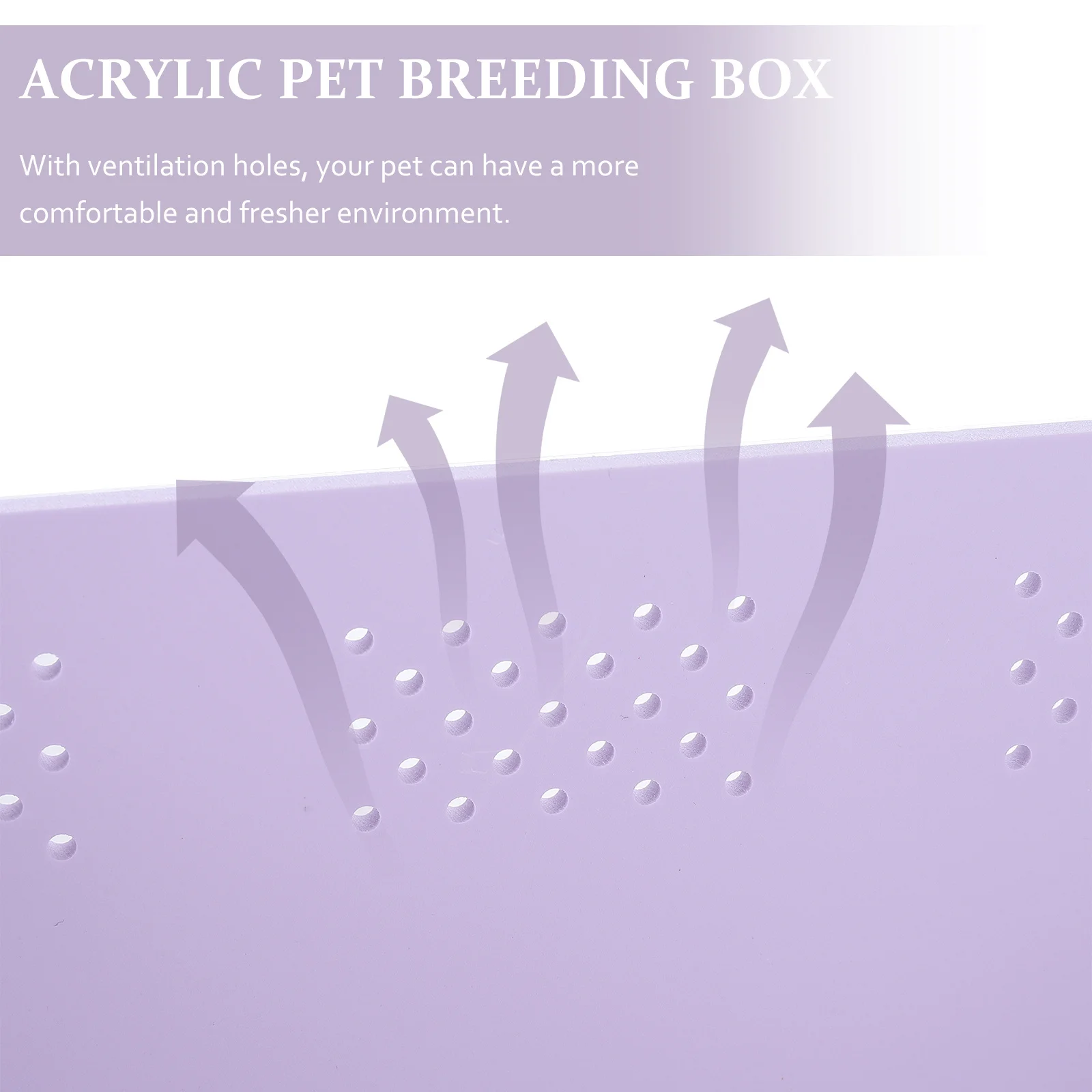 

Clear Acrylic Reptiles Feeding Box High Transparency Ventilation Holes Practical Pet Breeding Cage for Jumping Spiders