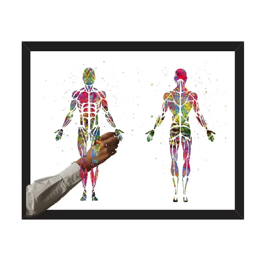 Anatomy Wall Art Poster Prints Watercolor Canvas Painting Medical Muscular System Pictures Living Room Home Clinic Decor Gift