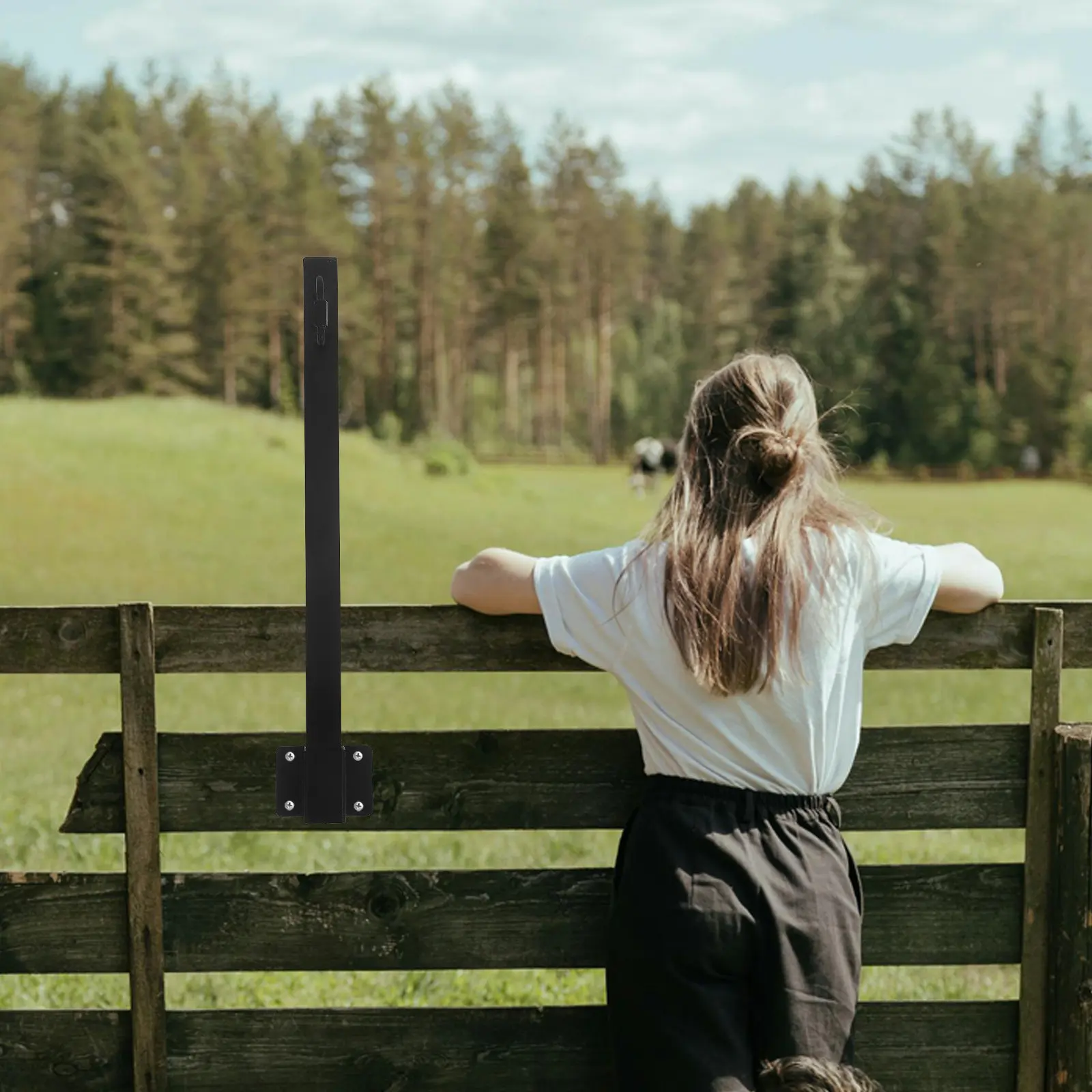 

Комплект из 4 металлических опор для уличного освещения, подвесных светильников и кормушек для птиц, для двора и забора
